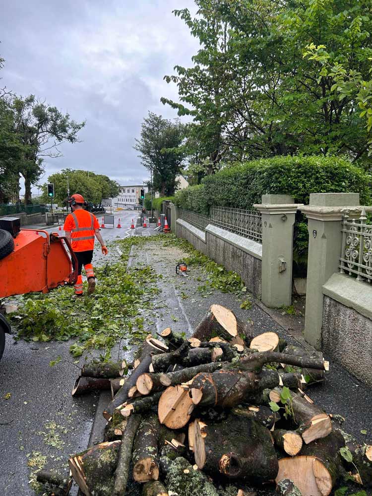 Lewis & Harris Grounds Maintenance | Gallery