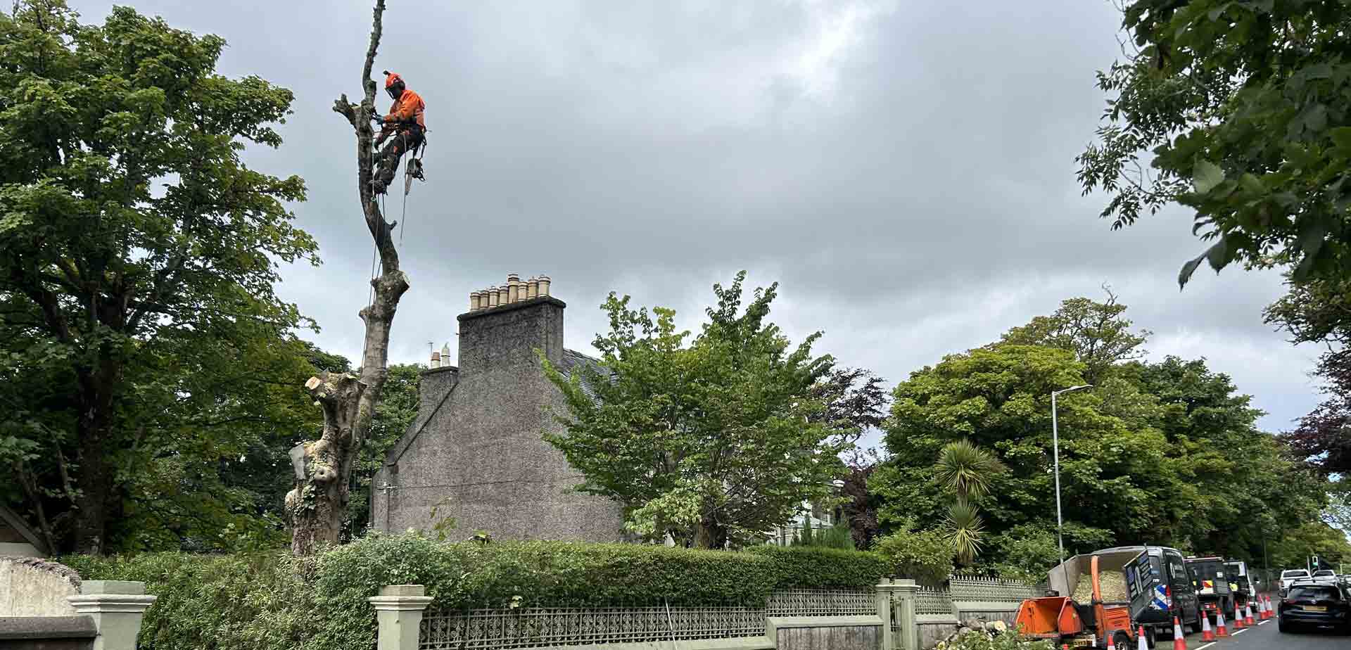 Lewis & Harris Grounds Maintenance